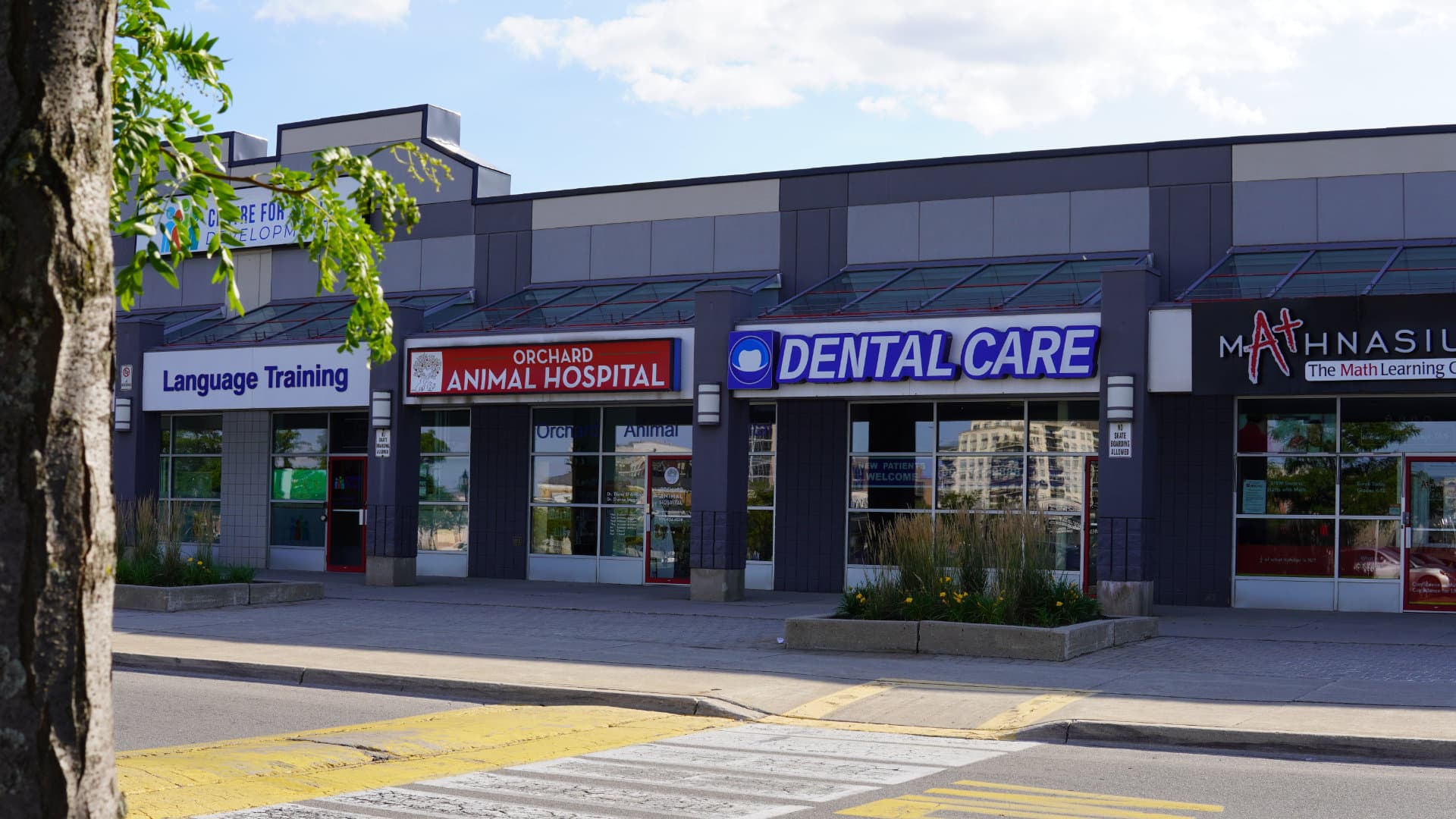 Millcroft Dental Care